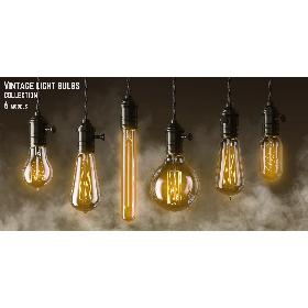 Vintage Edisson Light bulbs collection